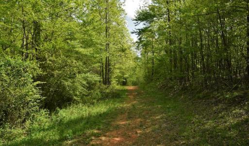 Photo #5 of SOLD property in Off Pennington Road, Albemarle, NC 67.4 acres