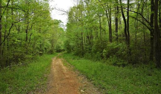 Photo #6 of SOLD property in Off Pennington Road, Albemarle, NC 67.4 acres