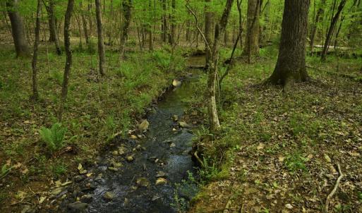 Photo #7 of SOLD property in Off Pennington Road, Albemarle, NC 67.4 acres