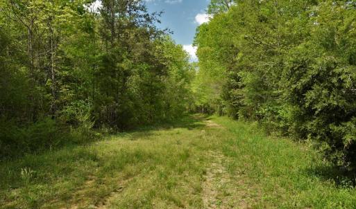 Photo #8 of SOLD property in Off Pennington Road, Albemarle, NC 67.4 acres