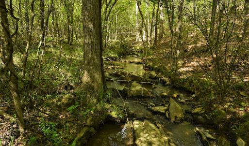 Photo #9 of SOLD property in Off Pennington Road, Albemarle, NC 67.4 acres