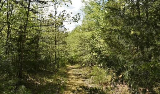 Photo #10 of SOLD property in Off Pennington Road, Albemarle, NC 67.4 acres