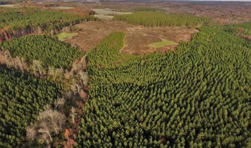 Photo #2 of SOLD property in Off Efird Road, Albemarle, NC 109.3 acres