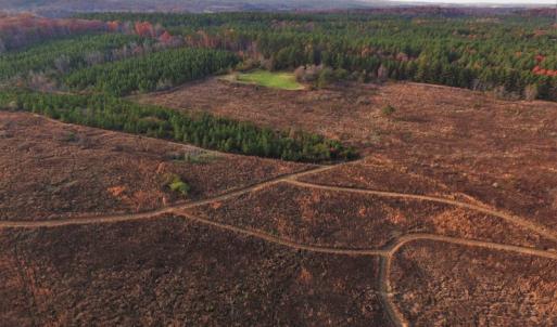 Photo #4 of SOLD property in Off Efird Road, Albemarle, NC 109.3 acres