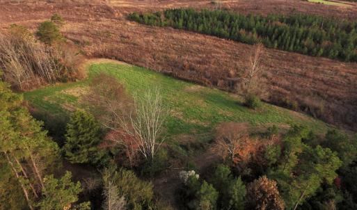 Photo #6 of SOLD property in Off Efird Road, Albemarle, NC 109.3 acres