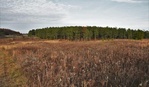 Photo #8 of SOLD property in Off Efird Road, Albemarle, NC 109.3 acres