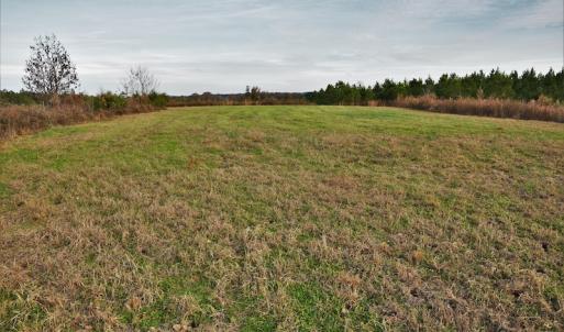 Photo #9 of SOLD property in Off Efird Road, Albemarle, NC 109.3 acres