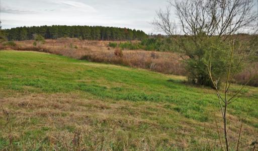 Photo #10 of SOLD property in Off Efird Road, Albemarle, NC 109.3 acres