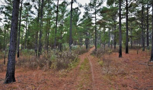 Photo #11 of SOLD property in Off Efird Road, Albemarle, NC 109.3 acres