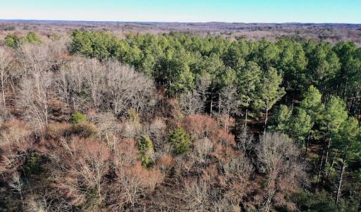 Photo #5 of SOLD property in Off Carpenter Road, Marshville, NC 16.2 acres