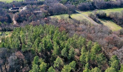 Photo #6 of SOLD property in Off Carpenter Road, Marshville, NC 16.2 acres