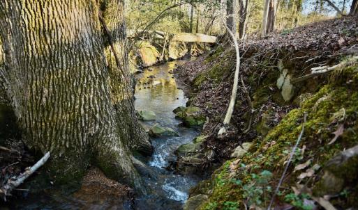 Photo #8 of SOLD property in Off Carpenter Road, Marshville, NC 16.2 acres