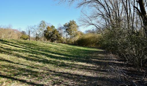 Photo #9 of SOLD property in Off Carpenter Road, Marshville, NC 16.2 acres