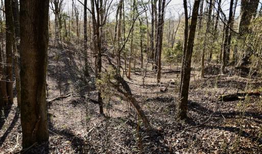 Photo #11 of SOLD property in Off Carpenter Road, Marshville, NC 16.2 acres
