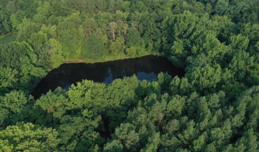 Photo #4 of SOLD property in Off Old Pageland Hwy, Monroe, NC 24.8 acres