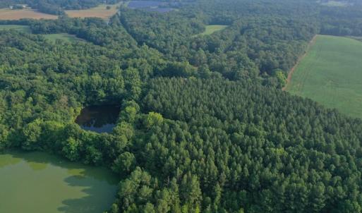 Photo #5 of SOLD property in Off Old Pageland Hwy, Monroe, NC 24.8 acres