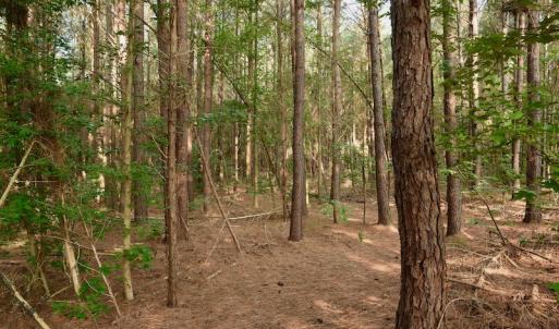Photo #7 of SOLD property in Off Old Pageland Hwy, Monroe, NC 24.8 acres