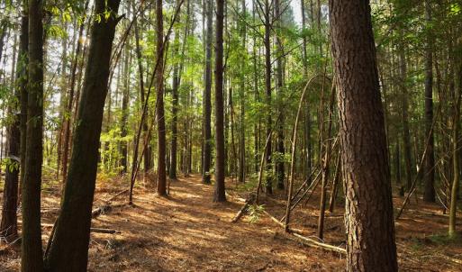 Photo #8 of SOLD property in Off Old Pageland Hwy, Monroe, NC 24.8 acres