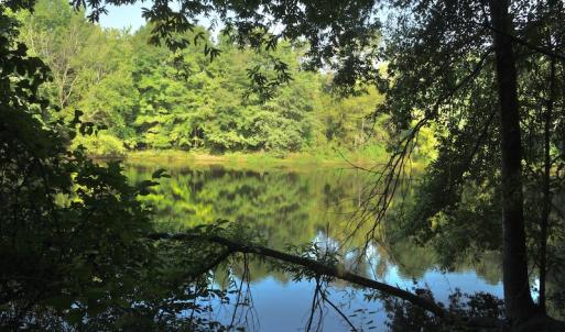 Photo #9 of SOLD property in Off Old Pageland Hwy, Monroe, NC 24.8 acres