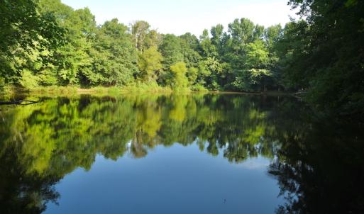 Photo #10 of SOLD property in Off Old Pageland Hwy, Monroe, NC 24.8 acres