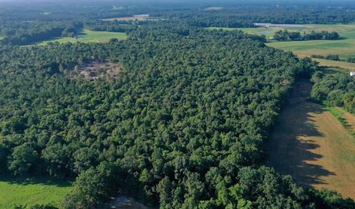 Photo #3 of SOLD property in Off Nance Tarlton Road, Marshville, NC 46.8 acres