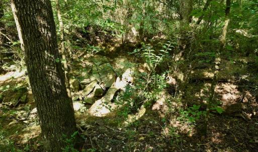 Photo #9 of SOLD property in Off Nance Tarlton Road, Marshville, NC 46.8 acres