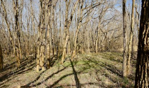 Photo #37 of SOLD property in Off Old Airport Road, Concord, NC 38.1 acres