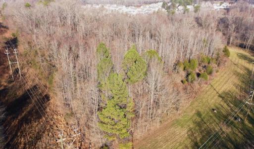 Photo #5 of SOLD property in Off Old Airport Road, Concord, NC 38.1 acres