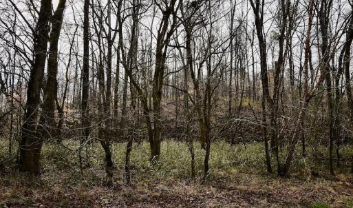 Photo #41 of SOLD property in Off Old Airport Road, Concord, NC 38.1 acres