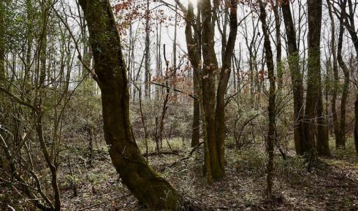 Photo #42 of SOLD property in Off Old Airport Road, Concord, NC 38.1 acres