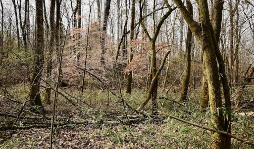 Photo #43 of SOLD property in Off Old Airport Road, Concord, NC 38.1 acres