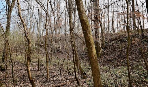 Photo #45 of SOLD property in Off Old Airport Road, Concord, NC 38.1 acres