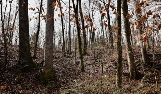 Photo #46 of SOLD property in Off Old Airport Road, Concord, NC 38.1 acres