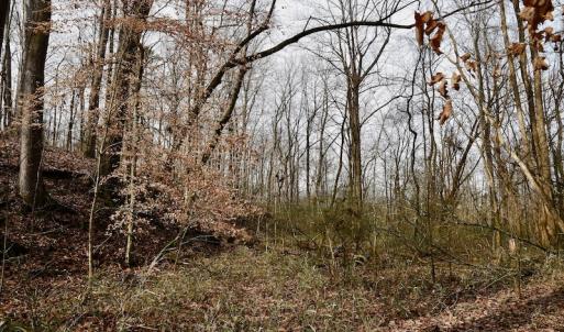 Photo #47 of SOLD property in Off Old Airport Road, Concord, NC 38.1 acres