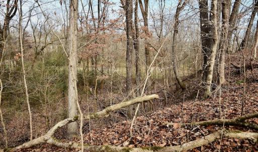 Photo #48 of SOLD property in Off Old Airport Road, Concord, NC 38.1 acres
