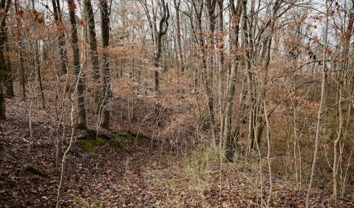 Photo #49 of SOLD property in Off Old Airport Road, Concord, NC 38.1 acres
