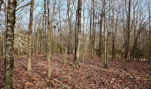 Photo #50 of SOLD property in Off Old Airport Road, Concord, NC 38.1 acres