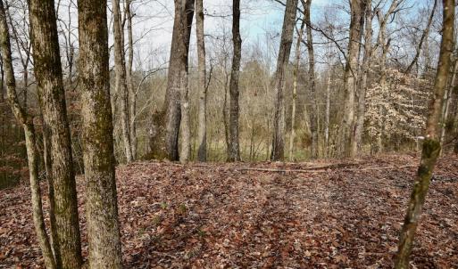 Photo #51 of SOLD property in Off Old Airport Road, Concord, NC 38.1 acres