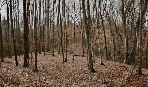 Photo #52 of SOLD property in Off Old Airport Road, Concord, NC 38.1 acres