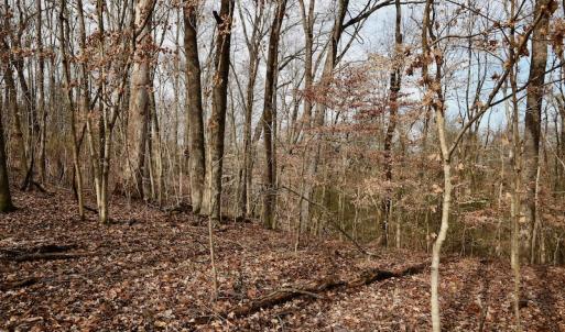 Photo #55 of SOLD property in Off Old Airport Road, Concord, NC 38.1 acres