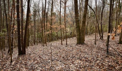 Photo #56 of SOLD property in Off Old Airport Road, Concord, NC 38.1 acres