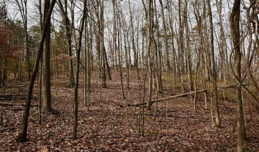 Photo #57 of SOLD property in Off Old Airport Road, Concord, NC 38.1 acres