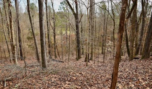 Photo #62 of SOLD property in Off Old Airport Road, Concord, NC 38.1 acres