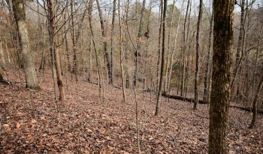 Photo #66 of SOLD property in Off Old Airport Road, Concord, NC 38.1 acres