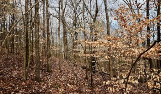 Photo #67 of SOLD property in Off Old Airport Road, Concord, NC 38.1 acres