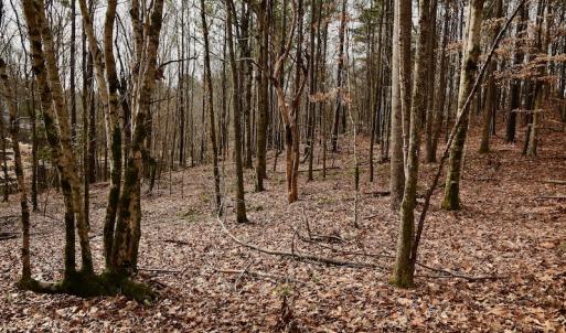 Photo #68 of SOLD property in Off Old Airport Road, Concord, NC 38.1 acres