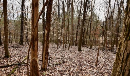 Photo #69 of SOLD property in Off Old Airport Road, Concord, NC 38.1 acres