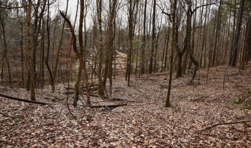Photo #70 of SOLD property in Off Old Airport Road, Concord, NC 38.1 acres