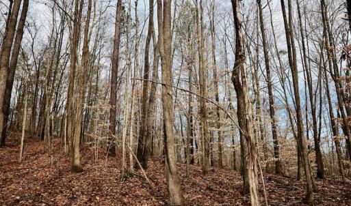 Photo #71 of SOLD property in Off Old Airport Road, Concord, NC 38.1 acres