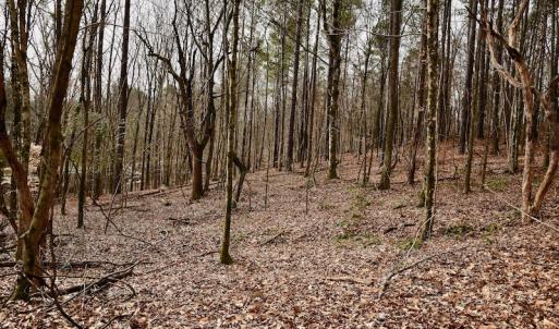Photo #72 of SOLD property in Off Old Airport Road, Concord, NC 38.1 acres